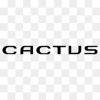 C4 Cactus